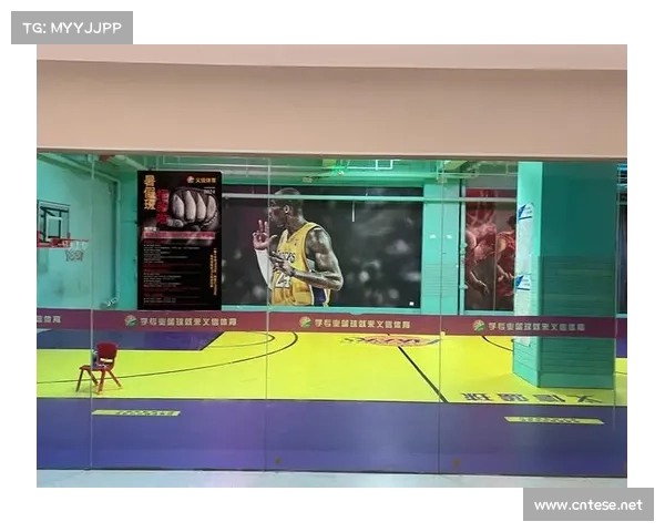 《篮球传奇背后的故事 NBA纪录片全景揭秘球场风云与人物人生》 《篮球传奇背后的故事 NBA纪录片全景揭秘球场风云与人物人生》