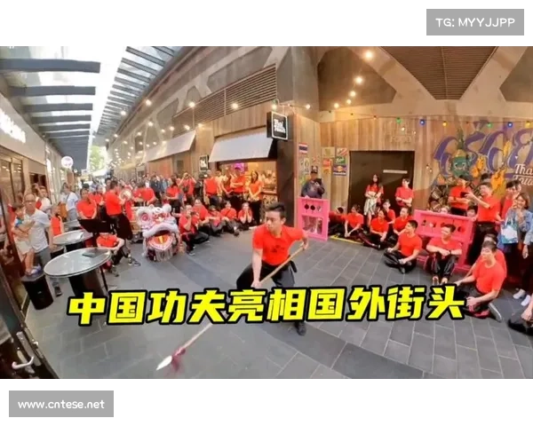功夫王中王争霸赛:传承与创新的武术巅峰对决,揭示功夫背后的文化魅力与哲理 功夫王中王争霸赛:传承与创新的武术巅峰对决,揭示功夫背后的文化魅力与哲理